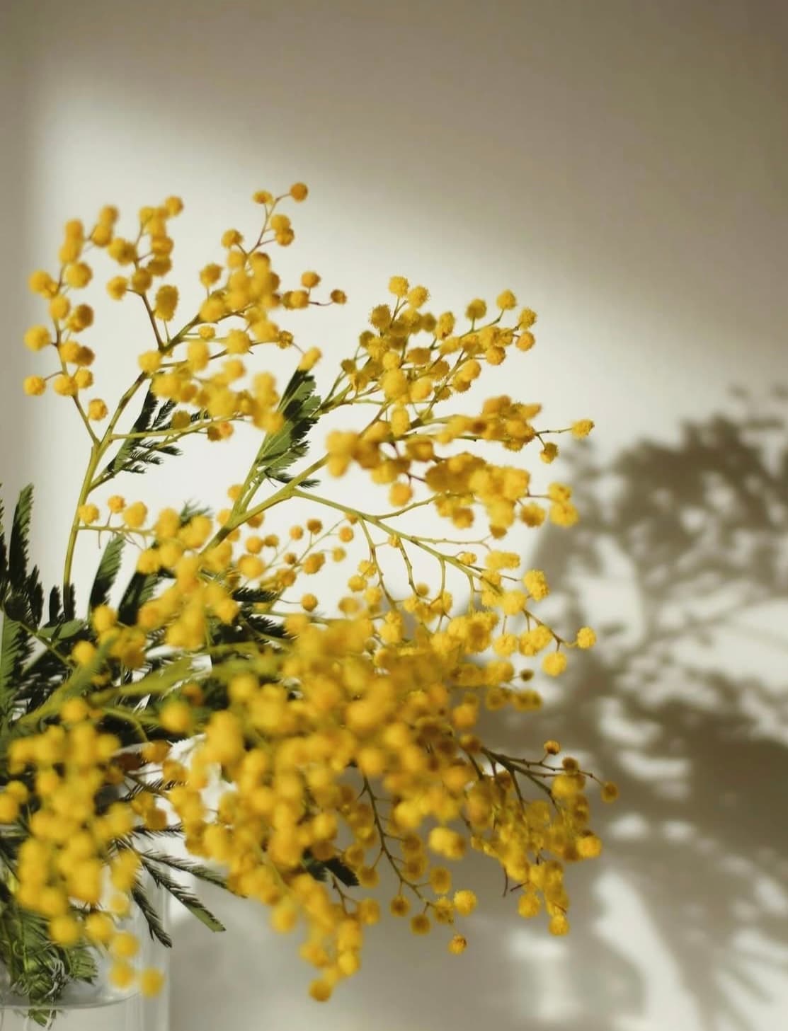 店内のイメージ